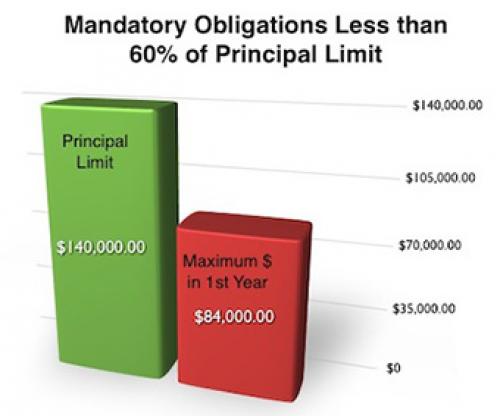 Reverse Mortgage Chart Infographic